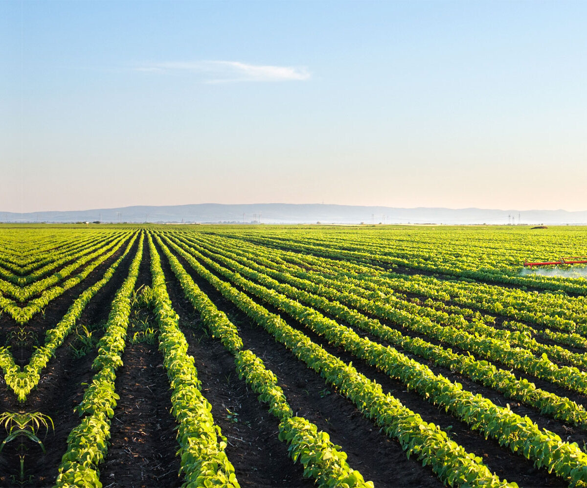 agricultura-peru